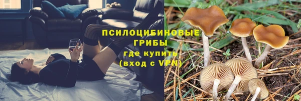 прущие крисы Вязьма